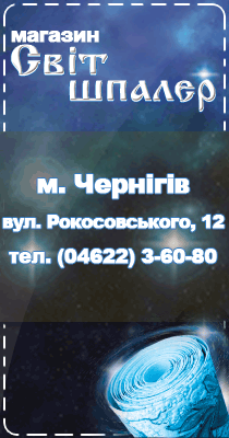 ���� ������
